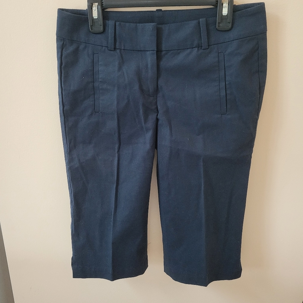 Ann Taylor Navy Blue Bermuda Shorts